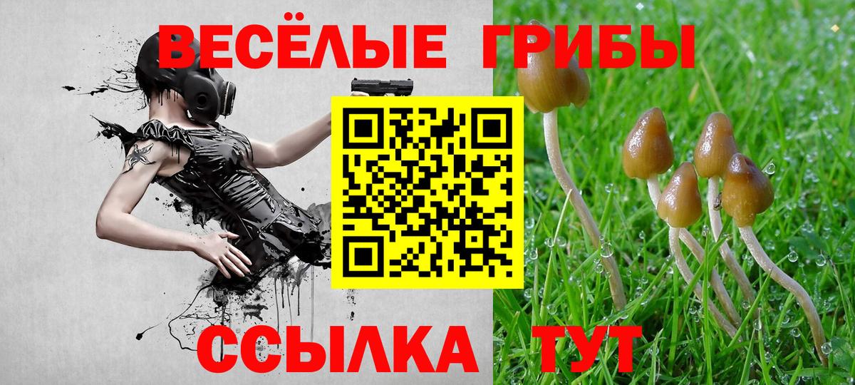 Галлюциногенные грибы Magic Shrooms  продажа наркотиков  Саранск  Галлюциногенные грибы GOLDEN TEACHER 